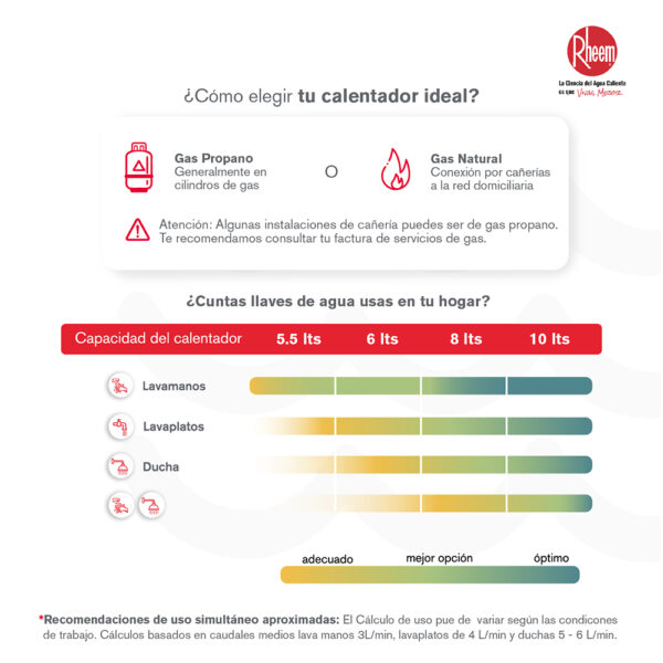 Calentador RHEEM 6lt Gas Natural Tiro Forzado Mecánico - Image 5