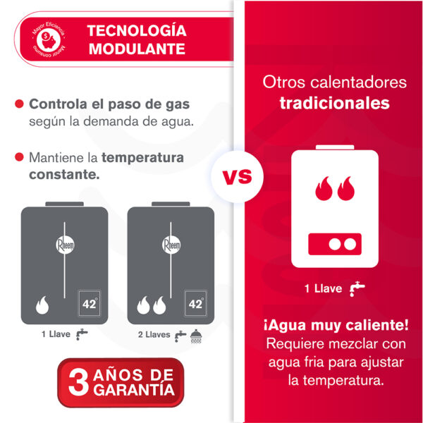 Calentador RHEEM 10lt Gas Natural Tiro Forzado Digital - Image 7