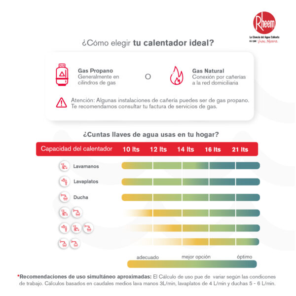 Calentador RHEEM 10lt Gas Natural Tiro Forzado Mecánico - Image 5
