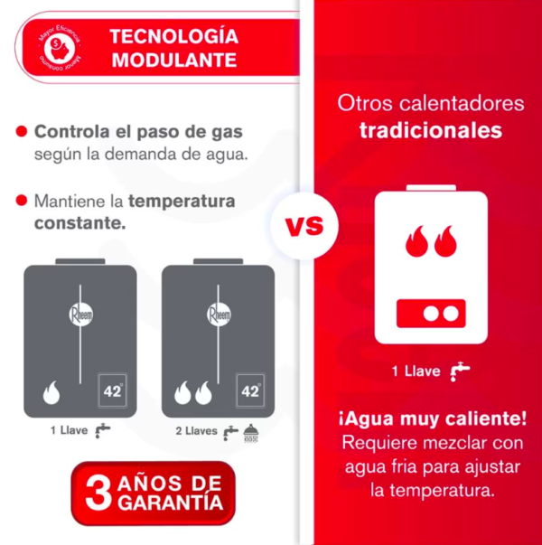 Calentador RHEEM 14lt Gas Propano Tiro Natural Digital - Image 7