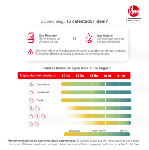 Calentador RHEEM 16lt Gas Propano Tiro Forzado Digital - Image 5