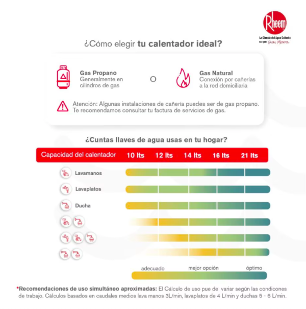 Calentador RHEEM 14lt Gas Propano Tiro Forzado Digital - Image 5
